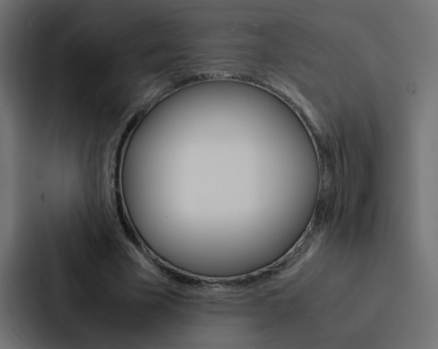 X0000088230585200705151050