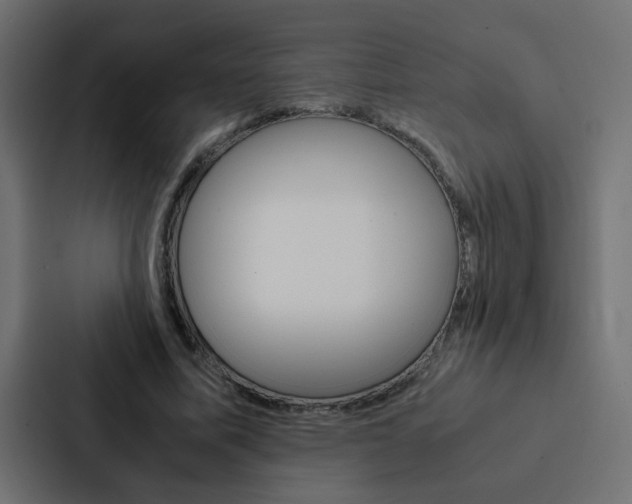 X0000088230587200705151050