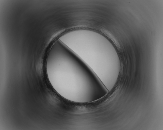 X0000088230588200705151050