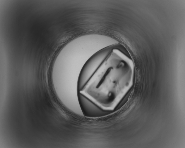 X0000088230589200705151050