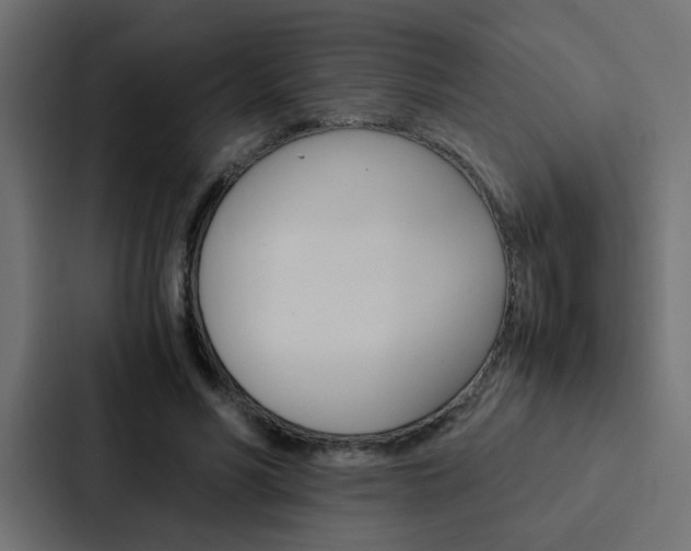 X0000088230590200705151050