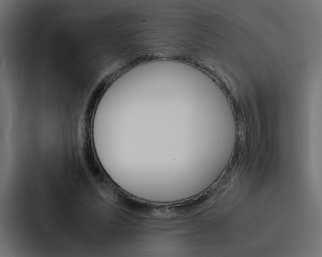 X0000088230591200705151050