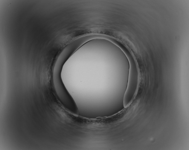 X0000088230593200705151050