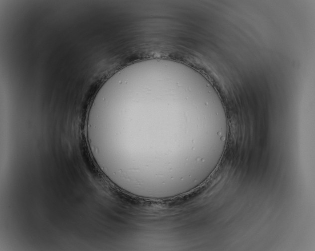 X0000088230594200705151050