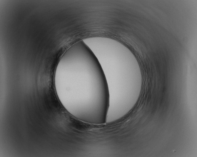 X0000088230595200705151050