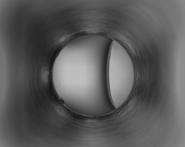 X0000088230596200705151050