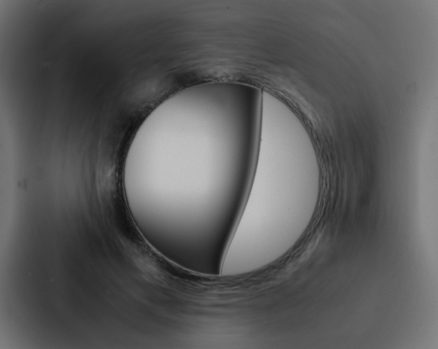 X0000088230597200705151050