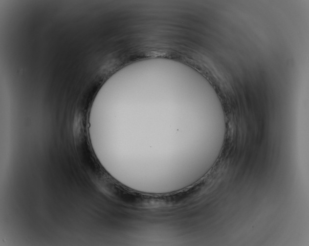 X0000088230598200705151050