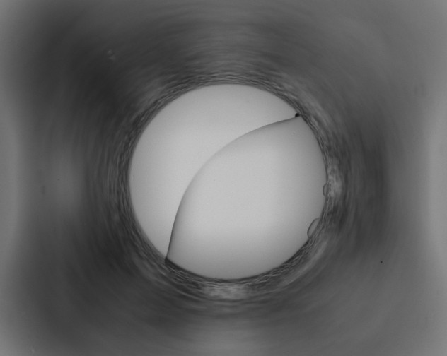 X0000088230599200705151050
