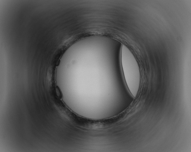 X0000088230600200705151050