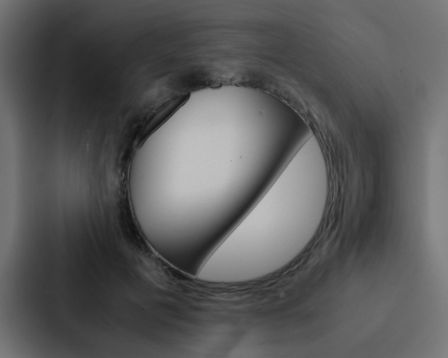 X0000088230601200705151050