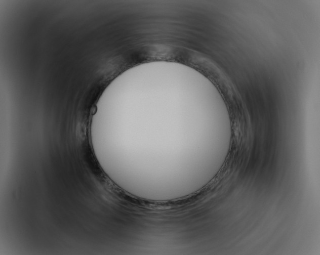 X0000088230602200705151050