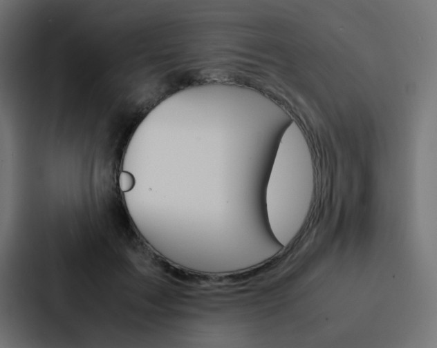 X0000088230603200705151050