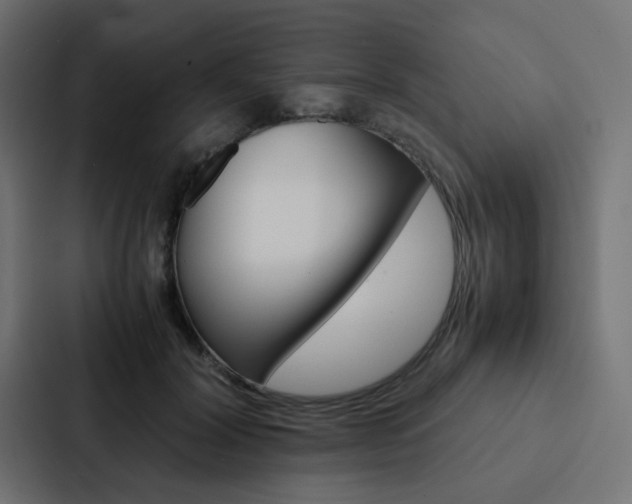 X0000088230604200705151050