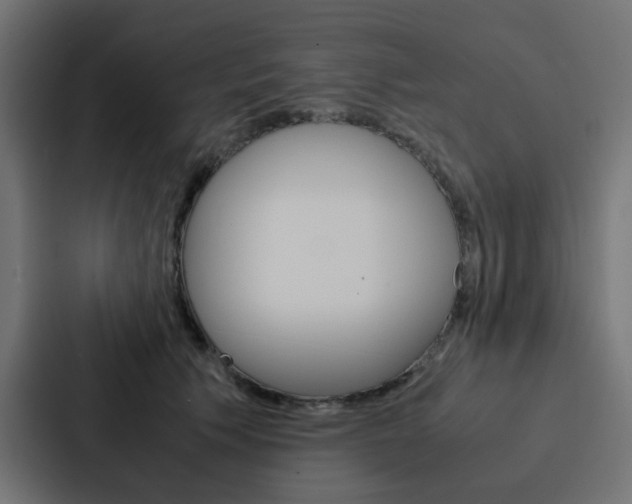 X0000088230609200705151050