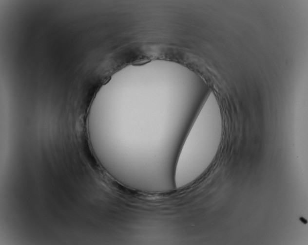 X0000088230611200705151050