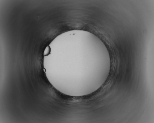 X0000088230612200705151050