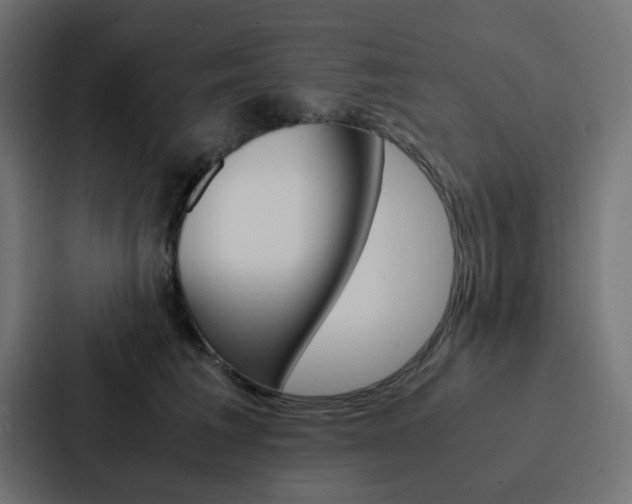 X0000088230613200705151050