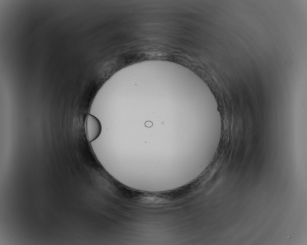 X0000088230614200705151050
