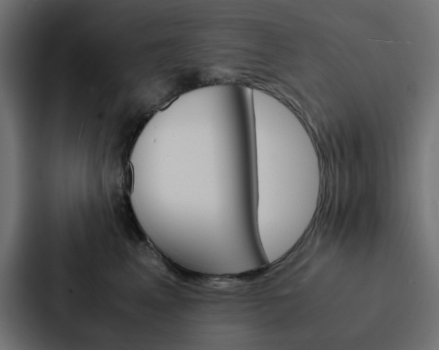 X0000088230617200705151050
