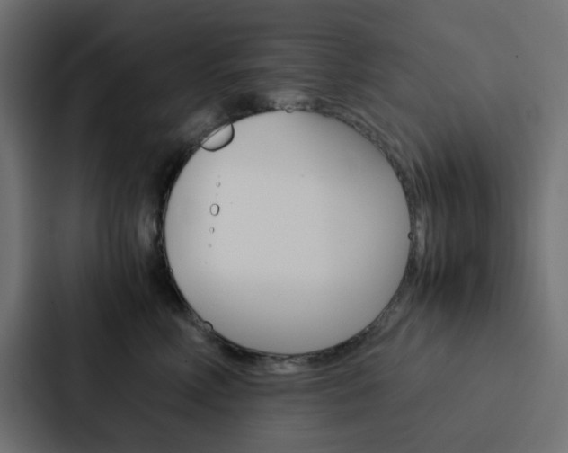 X0000088230618200705151050