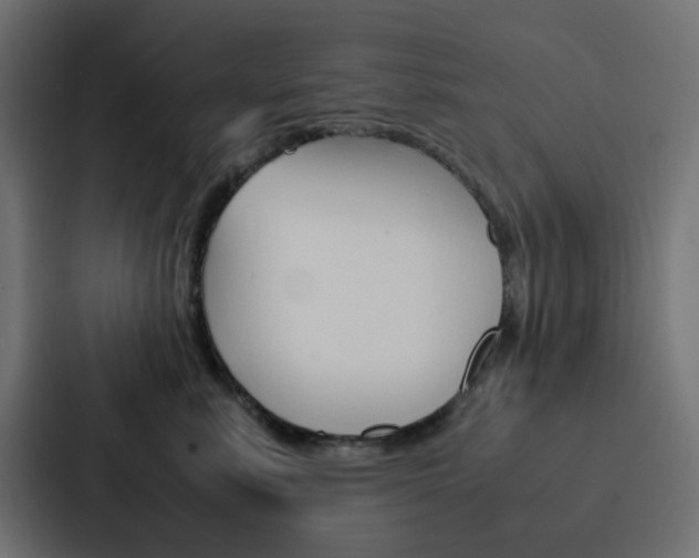 X0000088230619200705151050