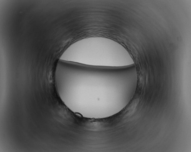 X0000088230620200705151050