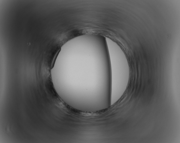 X0000088230621200705151050