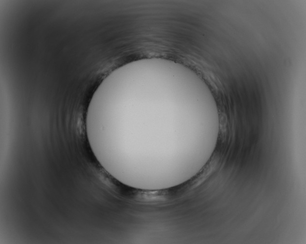 X0000088230622200705151050