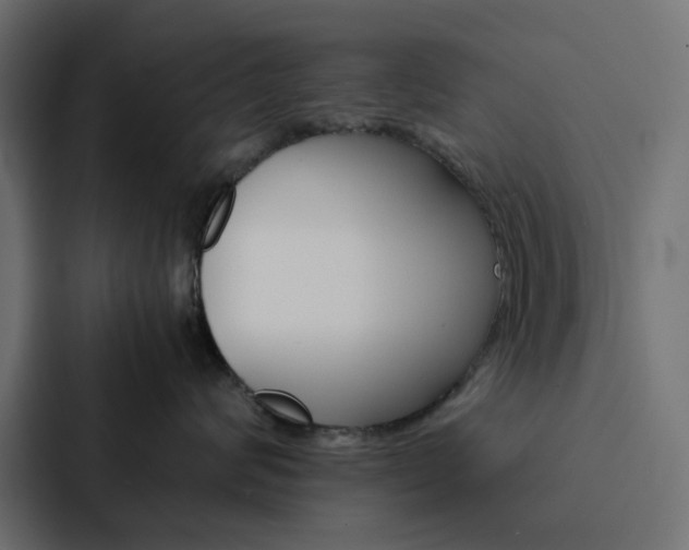 X0000088230624200705151050