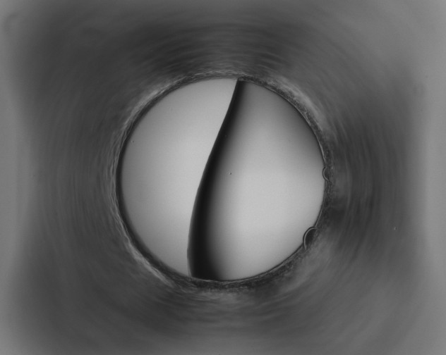 X0000088230625200705151049