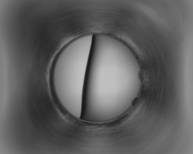 X0000088230626200705151049