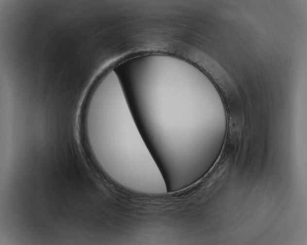 X0000088230628200705151049