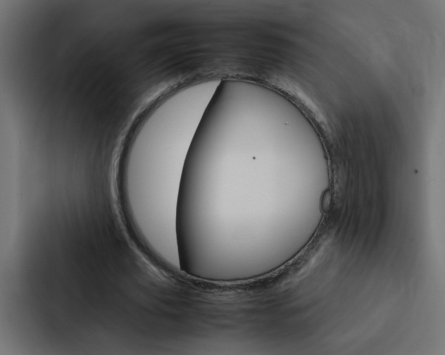 X0000088230629200705151049