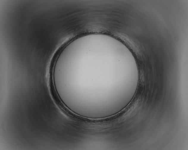 X0000088230630200705151049