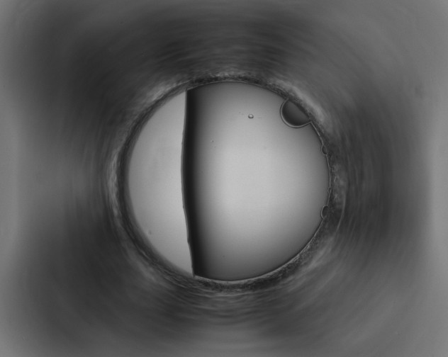 X0000088230631200705151049