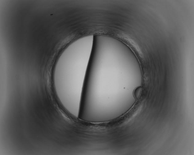 X0000088230633200705151049