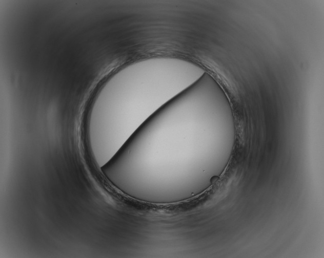 X0000088230634200705151049