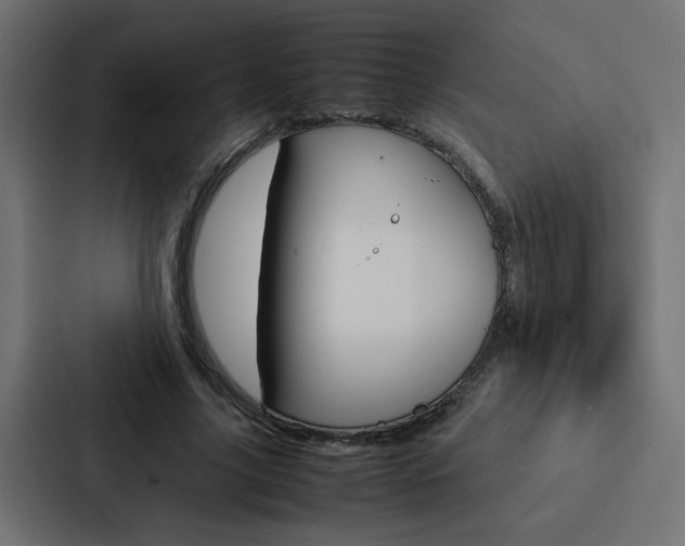 X0000088230635200705151049