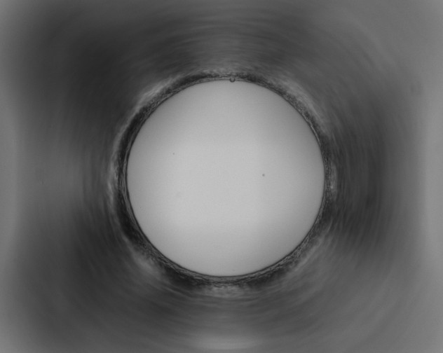 X0000088230636200705151049