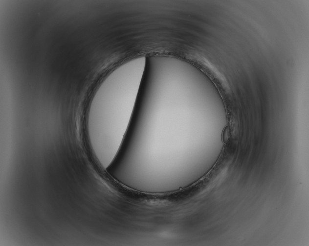 X0000088230637200705151049