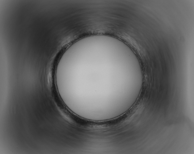 X0000088230638200705151049