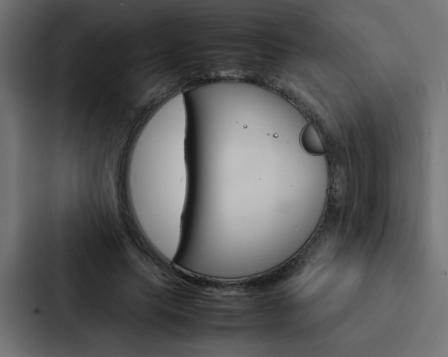X0000088230639200705151049