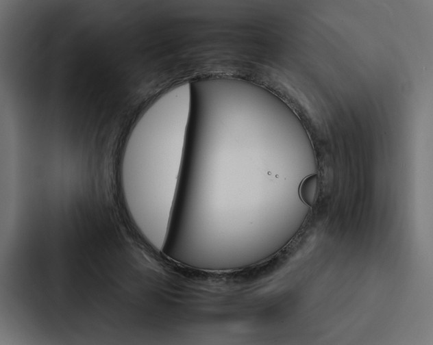 X0000088230641200705151050