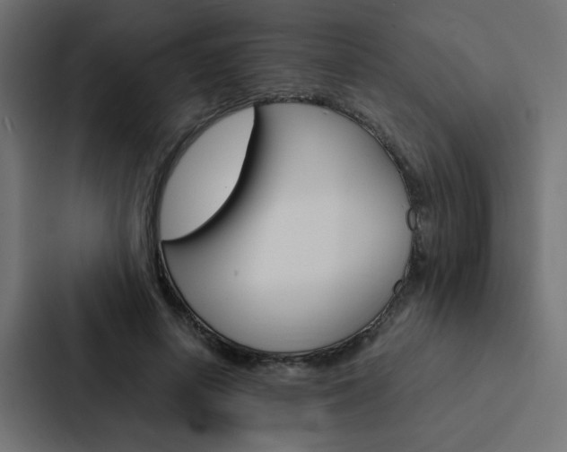X0000088230642200705151050