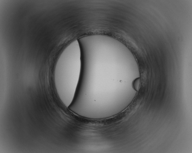 X0000088230644200705151050