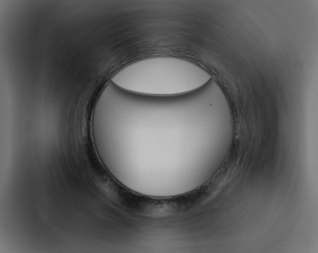 X0000088230646200705151050