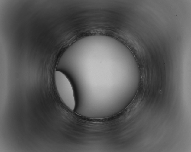 X0000088230649200705151050