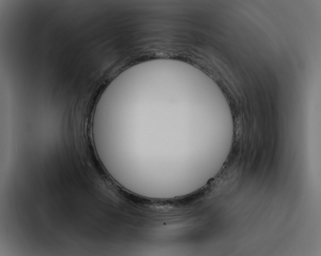 X0000088230650200705151050