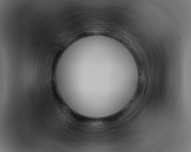 X0000088230651200705151050